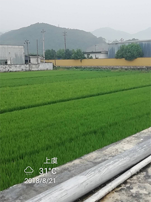圖片37x.jpg