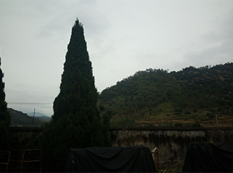 1570843237793087.jpg 圖片38x.jpg