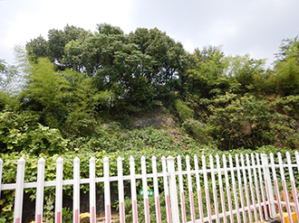 1574039957226486.jpg 圖片22x.jpg