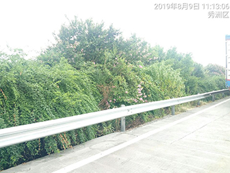 1578275455296691.jpg 圖片12x.jpg