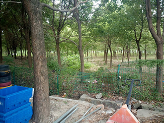 1578275491663428.jpg 圖片14x.jpg