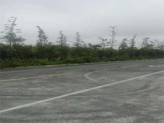 1578278246395124.jpg 圖片53x.jpg