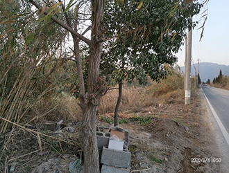 1586226612327429.jpg 圖片92x.jpg