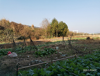 1586226931803967.jpg 圖片99x.jpg