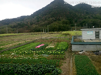 1586227994775374.jpg 圖片115x.jpg