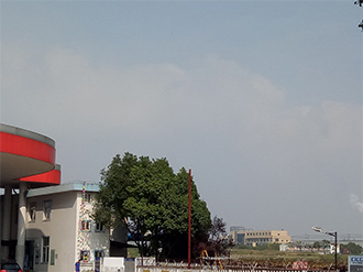 1586235738471187.jpg 圖片161x.jpg