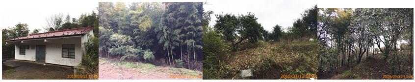 1589360345884702.jpg 2.jpg