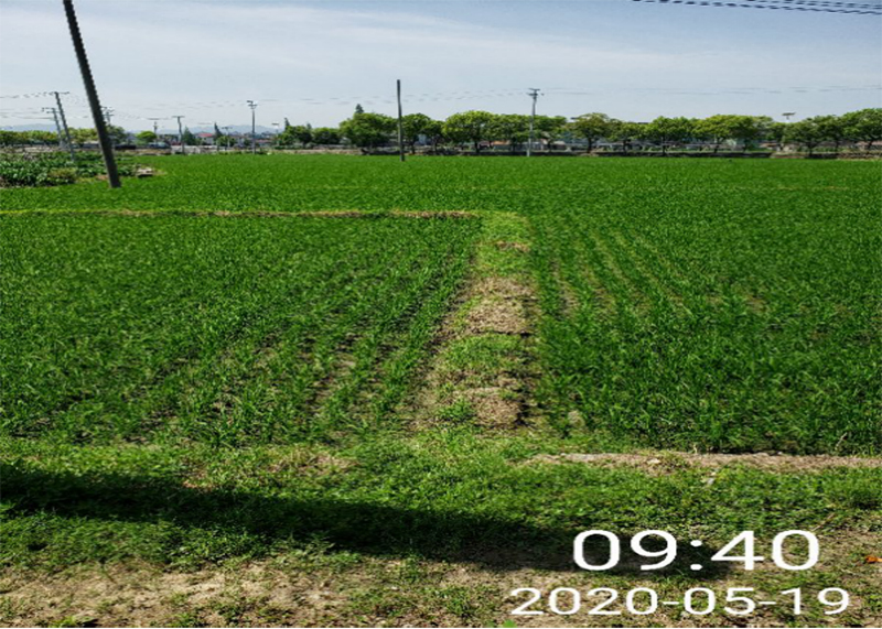 1599466332828486.jpg 3.jpg