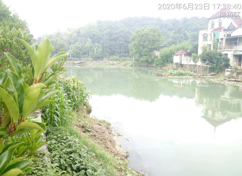 1599467209608549.jpg 3.jpg