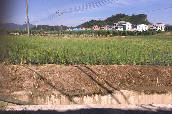 1604900930125050.png 圖片49.png