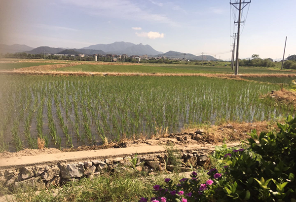 1604900932510352.png 圖片50.png