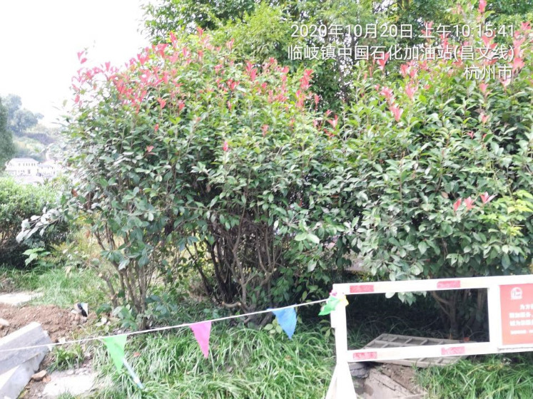 GZ【X】杭2020-019中國(guó)石化銷售股份有限公司浙江杭州臨岐加油站安全現(xiàn)狀評(píng)價(jià) 網(wǎng)上公開(kāi)信息表980.jpg