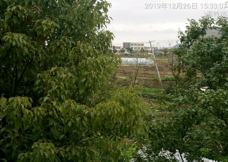 GZ【X】臺2019-060 溫嶺市京運加油站現(xiàn)狀評價 網(wǎng)上公開信息表673.jpg