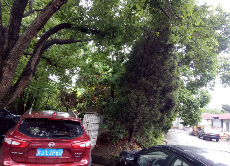 GZ【X】臺2020-027 中國石化銷售股份有限公司溫嶺第一加油站現(xiàn)狀評價 網(wǎng)上公開信息表1016.jpg