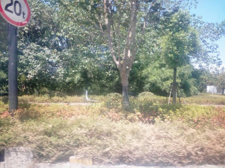 GZ【X】越2020-021中國石油天然氣股份有限公司浙江紹興山陰路加油站安全現(xiàn)狀評價 網(wǎng)上公開信息表1014.jpg