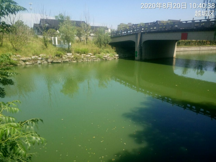 GZ【X】越2020-021中國石油天然氣股份有限公司浙江紹興山陰路加油站安全現(xiàn)狀評價 網(wǎng)上公開信息表1047.jpg