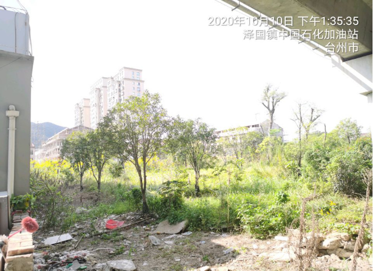 GZ【X】臺2020-067中國石化銷售股份有限公司浙江溫嶺鳳城加油站 網(wǎng)上公開信息表1010.jpg