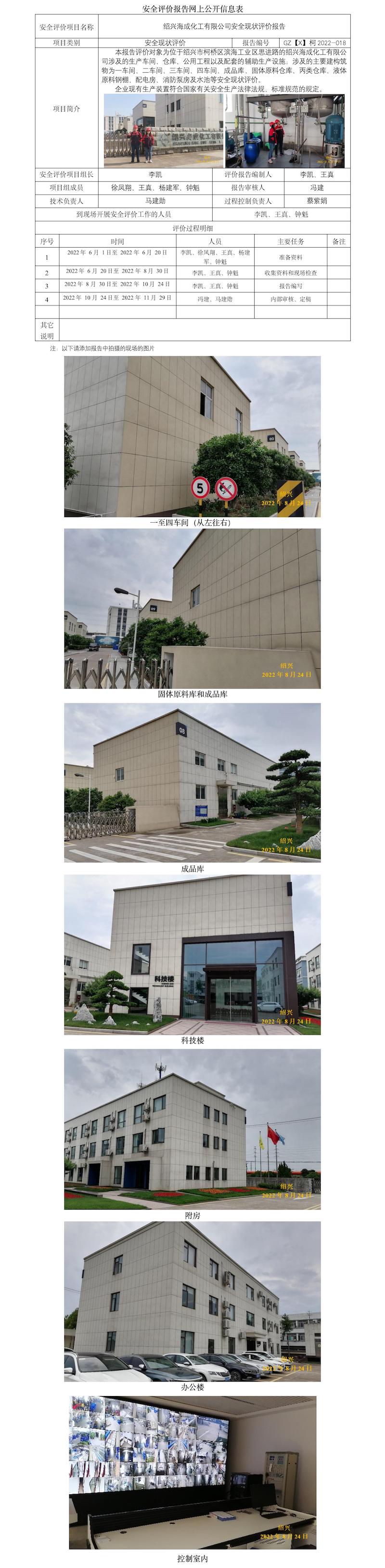 GZ【X】柯2022-018紹興海成化工有限公司安全現(xiàn)狀評(píng)價(jià)報(bào)告  網(wǎng)上公開信息表.jpg