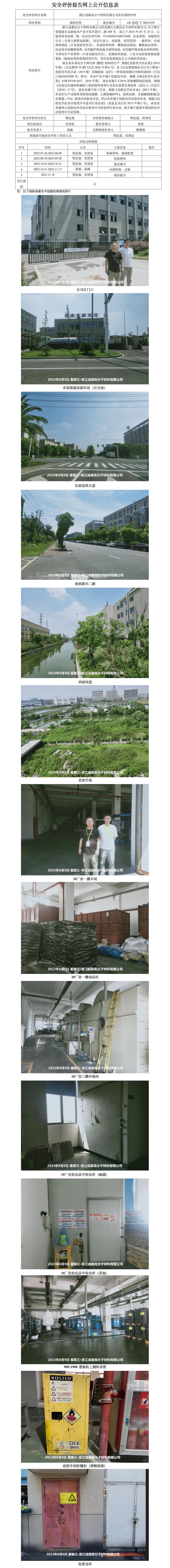 GZ[X]寧2023-070浙江成器高分子材料有限公司安全現(xiàn)狀評(píng)價(jià)網(wǎng)上公開(kāi)信息表.jpg